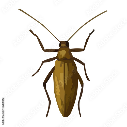 bug on white background