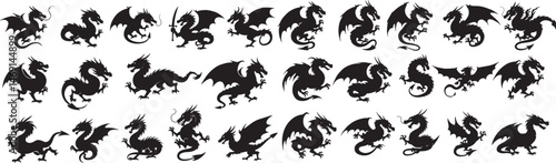 Dragon silhouettes collection vector illustration chinese and fantasy dragon black and white art set