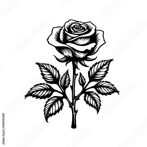 Elegant black and white rose drawing with detailed shading and precise lines