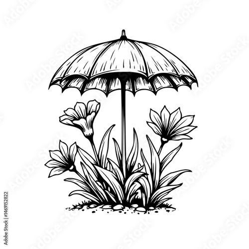 Umbrella canopy shading floral arrangement in monochromatic engraving illustration