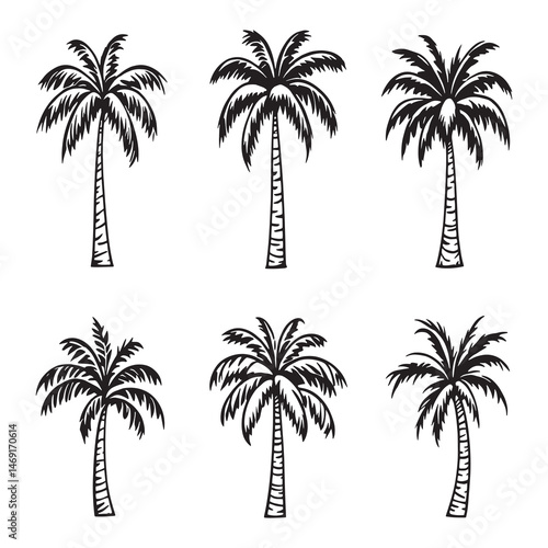 Elegant Tropical Palm Tree Sketch for Graphic Design