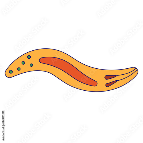 Sporozoite