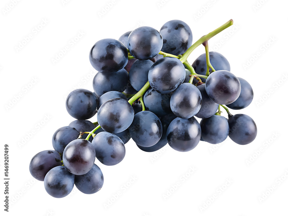 branch of fresh blue grapes isolated on white background PNG branch of fresh blue grapes isolated on white background PNG