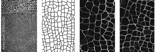 Set four seamless black and white reptile skin patterns including snake skin texture crocodile lizard scales abstract seamless backgrounds vector design