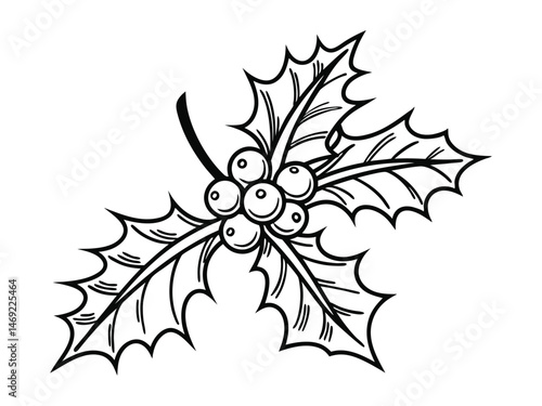 Holly berry black line icon, Christmas symbol, editable stroke vector design element