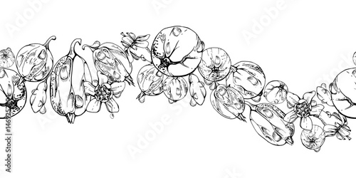 Gooseberry Currant garden berries, flowers in water dew drops hand drawn in vector ink. Seamless isolated wave banner garland. Home preserves, stationery, food store decor, cafe menu, recipe book