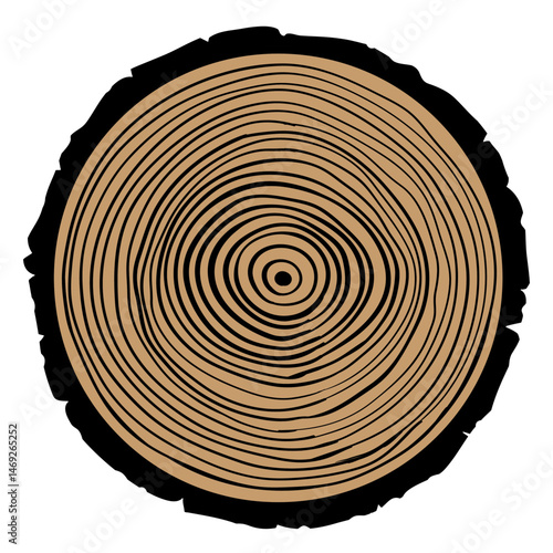 Wood slice icon vector. Wood rings illustration sign. Tree symbol. Sawmill logo.