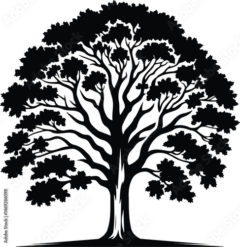 Deciduous Tree Vector