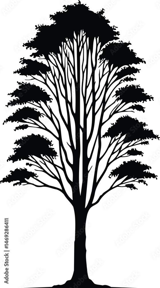 Obraz premium Single Ash Tree Graphic