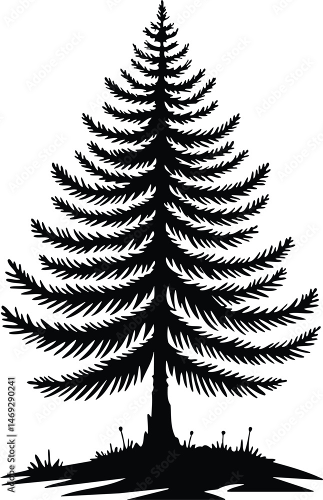 Fototapeta premium Simple Elegant Larch Tree