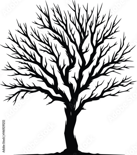 Iconic Palo Verde Graphic