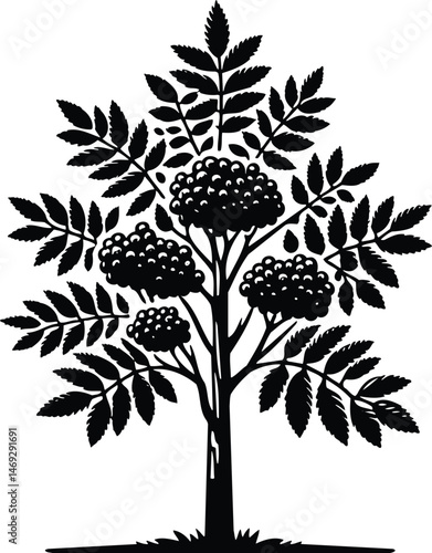 Nature icon