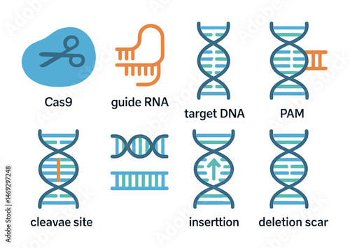 Gene editing flat icons set – genome, dna, crispr technology symbols