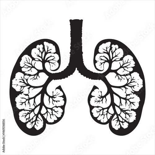 Black silhouette of two human kidneys with veins and arteries, anatomically detailed on a white background 