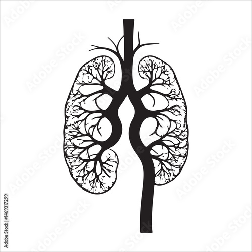 Black silhouette of two human kidneys with veins and arteries, anatomically detailed on a white background 