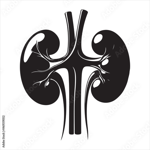 Black silhouette of two human kidneys with veins and arteries, anatomically detailed on a white background 
