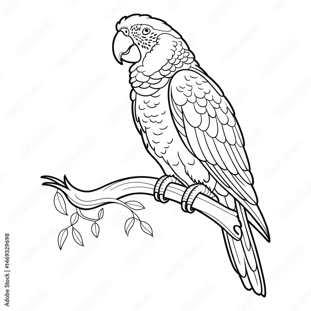 Fototapeta premium Parrot perched on branche Coloring Page, Silhouette, Vector, Illustration, Icon, Logo, White Background.