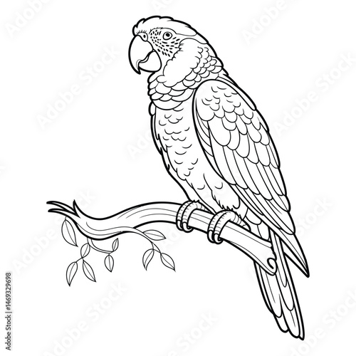 Parrot perched on branche Coloring Page, Silhouette, Vector, Illustration, Icon, Logo, White Background.