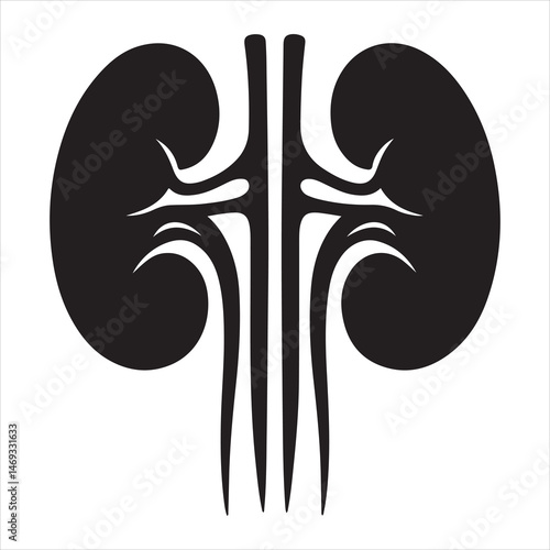 Black silhouette of two human kidneys with veins and arteries, anatomically detailed on a white background 