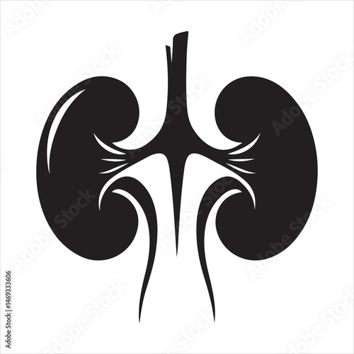 Black silhouette of two human kidneys with veins and arteries, anatomically detailed on a white background 