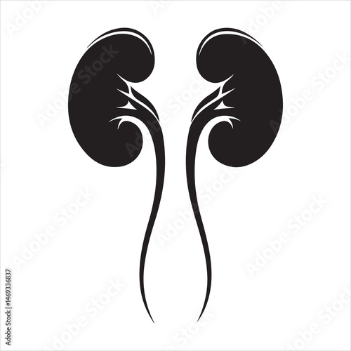 Black silhouette of two human kidneys with veins and arteries, anatomically detailed on a white background 
