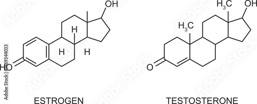 Testosterone and estradiol icons. Chemical molecular structure. Steroid male female sex hormone signs isolated on white background.
