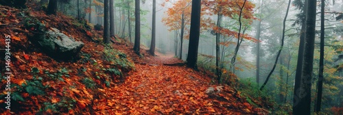 Obraz na płótnie Misty Forest Trail With Vibrant Orange and Red Leaves Under a Foggy Sky in Autumn Generative AI w salonie