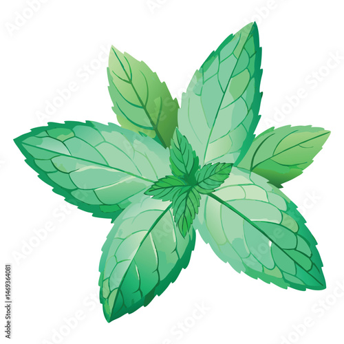 Watercolor realistic Mint spice clipart on white background