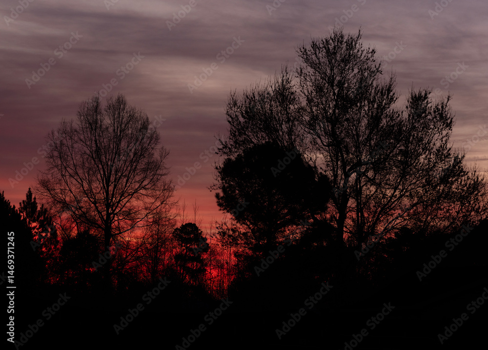 Orange glow promising the arrival of daylight behind silhouetted trees
