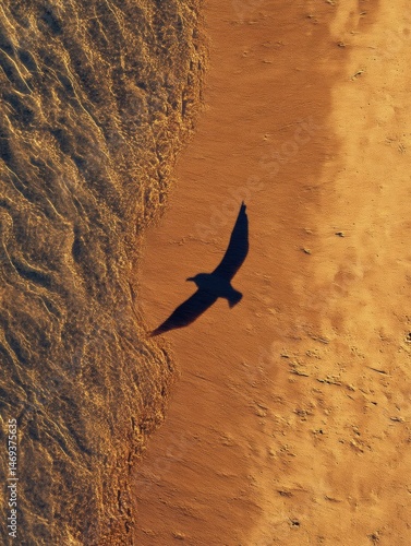 Obraz na płótnie Bird Shadow Gliding Gracefully Across Sunlit Sand Along the Shoreline During a Bright Afternoon Generative AI w salonie