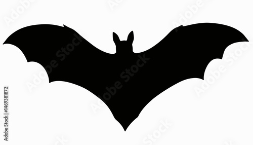 Silhouette of a bat flying against a white background, night symbolism
