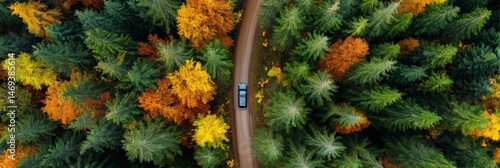 Obraz na płótnie Car Drives Through Vibrant Autumn Forest Captured From Drone Perspective Showcasing Colorful Foliage and Winding Path Generative AI w salonie