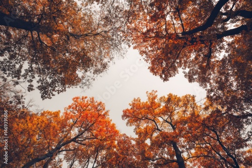 Obraz na płótnie Cloudy Sky Above Vivid Orange Treetops in an Enchanting Autumn Forest During Early Afternoon Generative AI w salonie