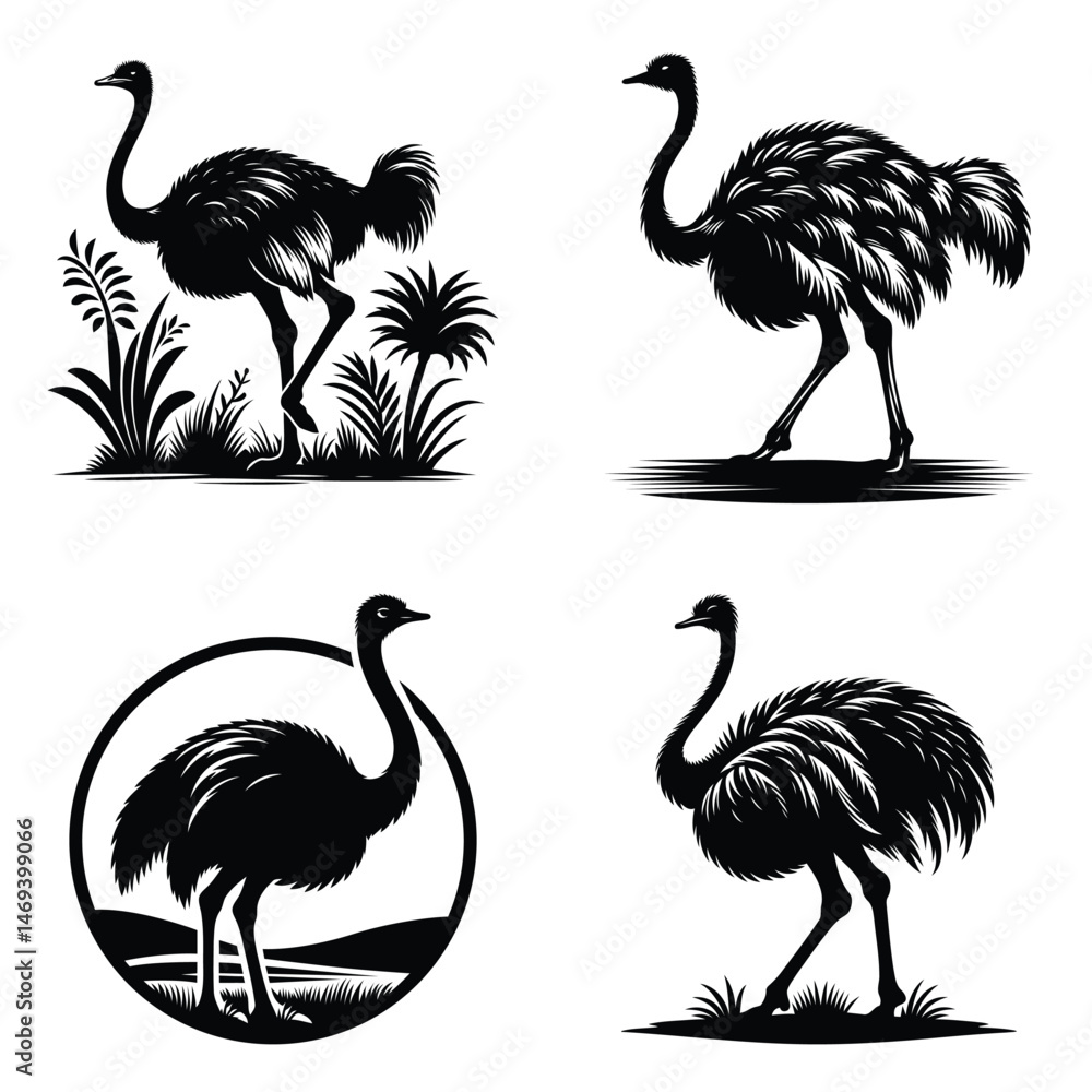 Obraz premium Ostrich bird clipart set silhouette Illustration drawing detailed feather