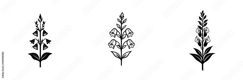 Fototapeta premium Floral vector illustration of three distinct types of flowers with elegant details and natural elements