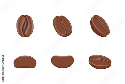 Realistic 3D Coffee Bean Set – Multiple View Angles