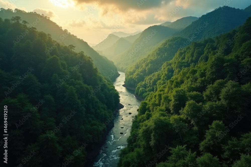 Serpentine River Through Misty Rainforest in Golden Light