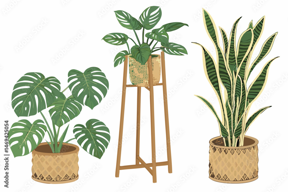Obraz premium 15 wooden plant stands with tropical foliage, monstera, snake plant, pothos, indoor plants in woven rattan pots, natural wood, minimalist, clean, bright lighting, studio shot, high quality, detailed