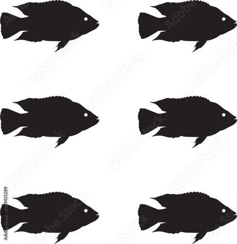 Premium vector set of fish silhouettes tilapia fish on white background. 