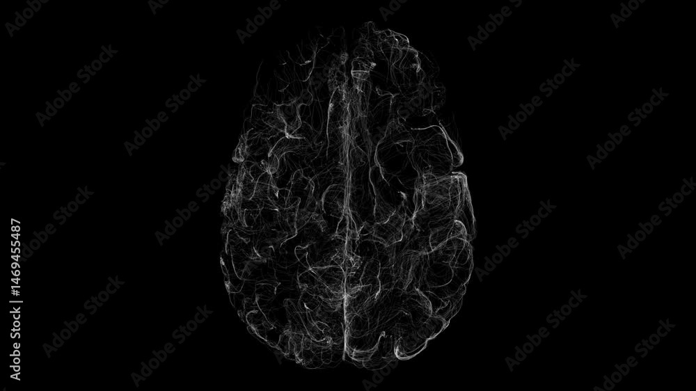 Abstract Visualization of Neural Network Connections and Brain Complexity Abstract Visualization of Neural Network Connections and Brain Complexity