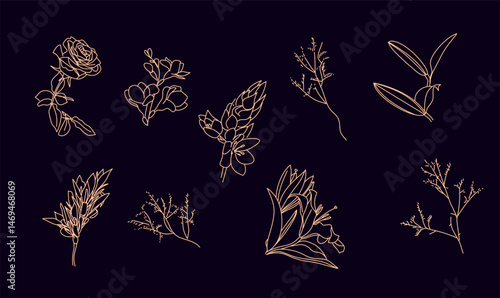 Vector illustration set of floral elements in bloom. Petals and flowers in line art style. Aesthetic harmony and countryside charm for botanical illustration.