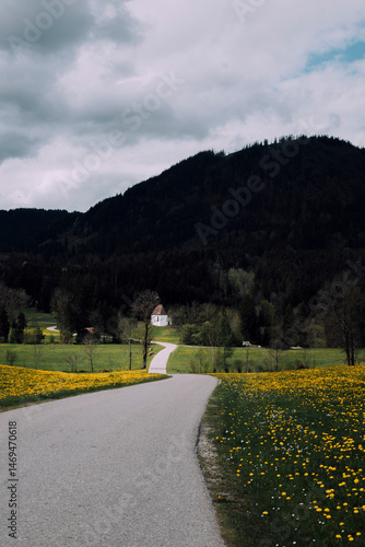 country road in the countryside