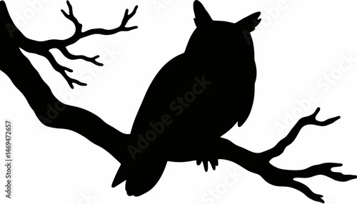 Majestic owl silhouette perched on branch at night, symbolic wisdom