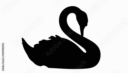Elegant swan silhouette curving neck against white background, tranquility