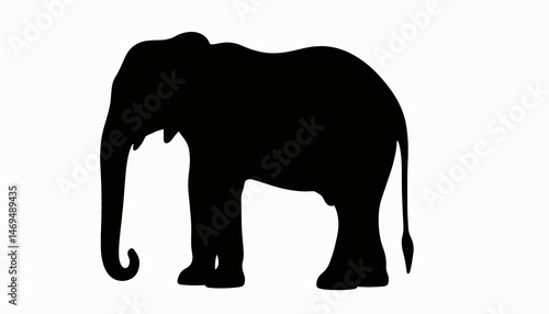 Majestic elephant silhouette on white background, symbolism of strength