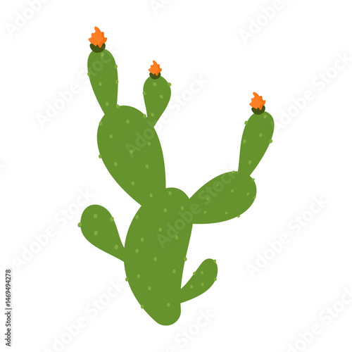 Simple cartoon cactus and succulent plants with flowers and smooth shapes