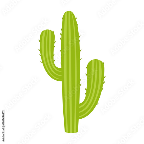 Simple cartoon cactus and succulent plants with flowers and smooth shapes