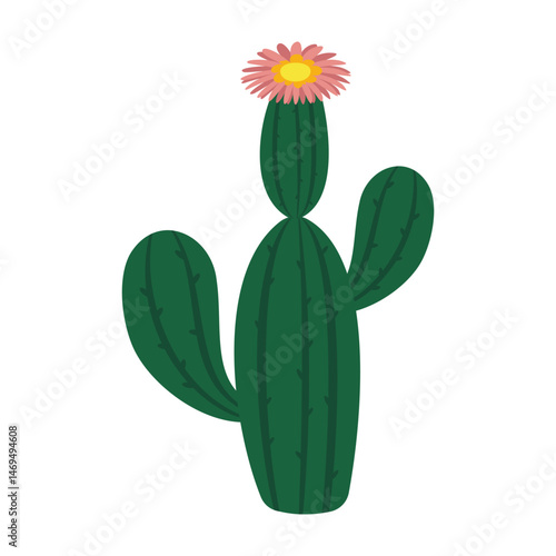 Minimal cactus illustrations with tall shapes and blooming flowers