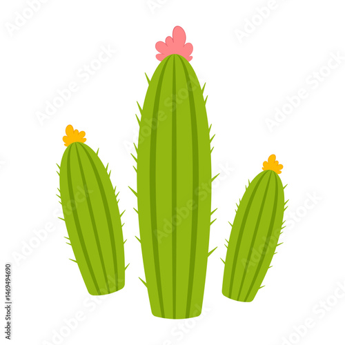 Minimal cactus illustrations with tall shapes and blooming flowers