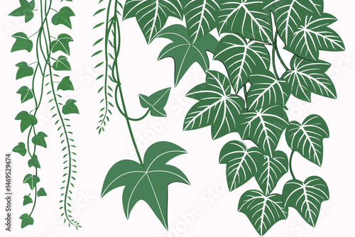 50 lush green leafy vines, cascading tropical foliage, dense overgrowth, vibrant verdant tendrils, luxuriant verdant foliage, nature's exuberant growth, verdant organic botanical tapestry, verdant tra